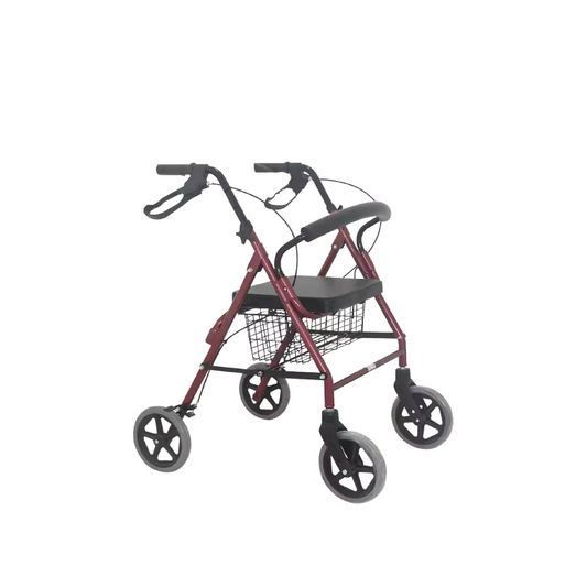 ROLLATOR ALLUMINIO - RUOTE 6 POLLICI