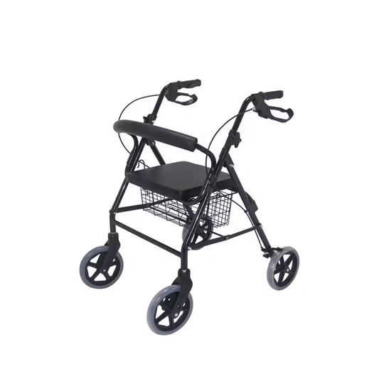 ROLLATOR ALLUMINIO - RUOTE 8 POLLICI